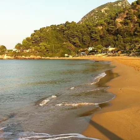 Tereza House 글리파다